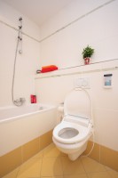 Elektronický bidet a pohled do historie